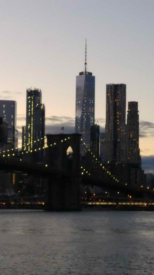 NYC_2017-11-19 16-48-36_CELL_20171119_164837